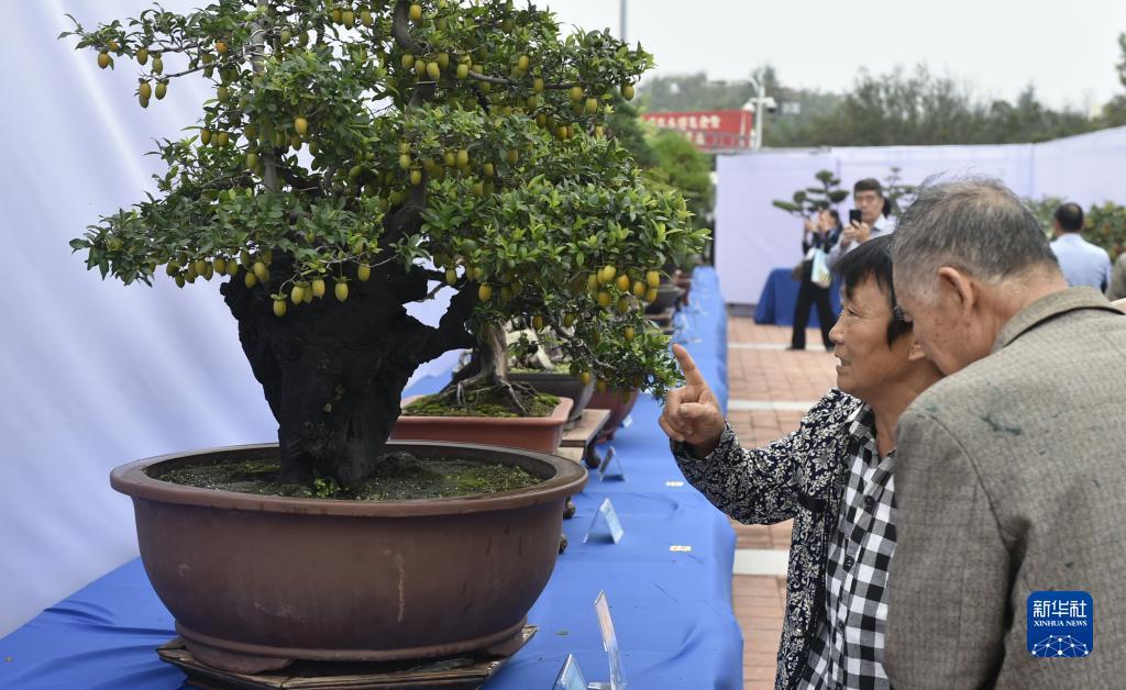 宝马线上娱乐网站换了